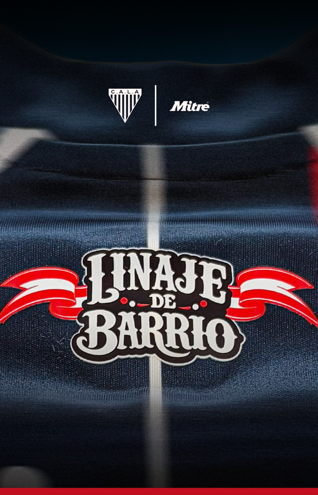 Camiseta Linaje de Barrio
